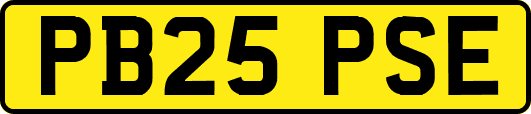 PB25PSE