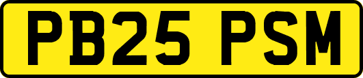 PB25PSM
