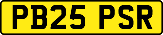PB25PSR