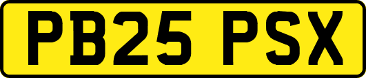PB25PSX