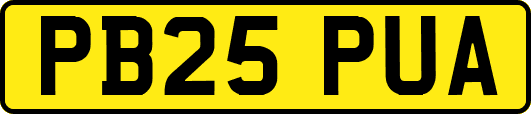 PB25PUA