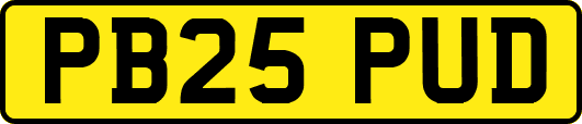 PB25PUD