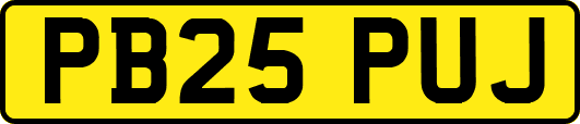 PB25PUJ
