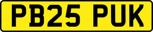 PB25PUK