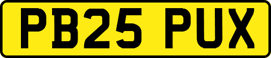 PB25PUX