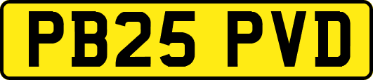 PB25PVD