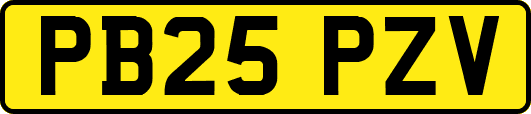 PB25PZV