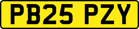 PB25PZY