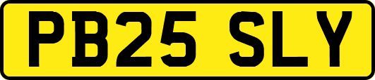 PB25SLY