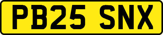 PB25SNX