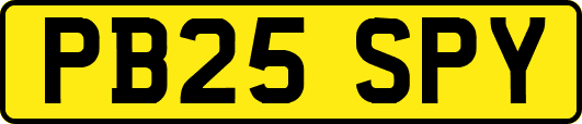 PB25SPY