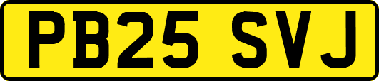 PB25SVJ
