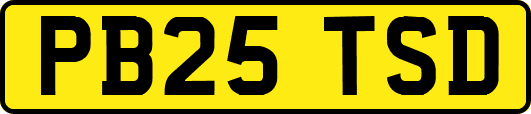 PB25TSD