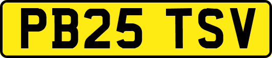 PB25TSV