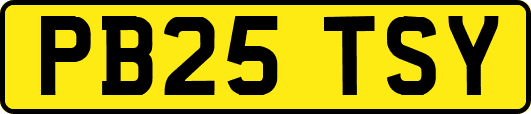 PB25TSY