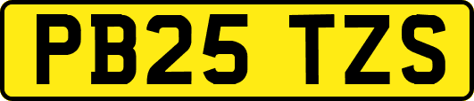 PB25TZS