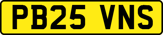 PB25VNS