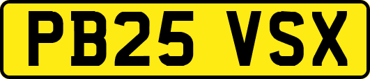 PB25VSX