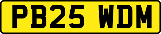 PB25WDM