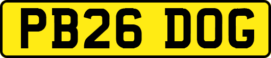 PB26DOG