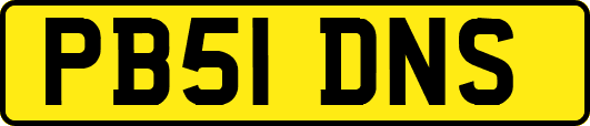 PB51DNS