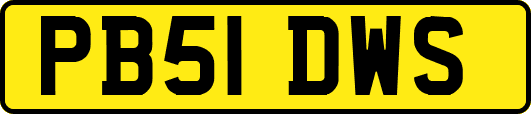 PB51DWS