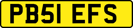 PB51EFS