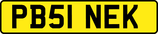 PB51NEK