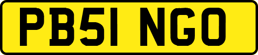 PB51NGO