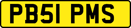 PB51PMS