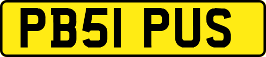PB51PUS