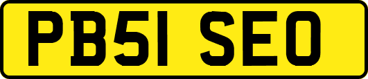 PB51SEO