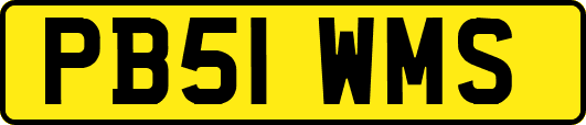 PB51WMS