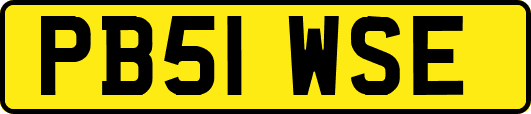 PB51WSE