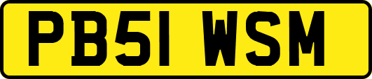 PB51WSM