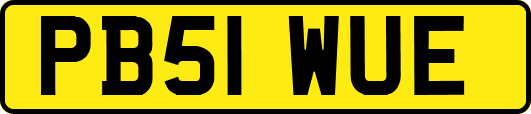 PB51WUE