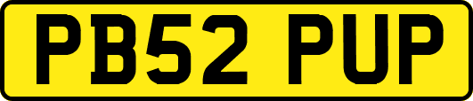 PB52PUP