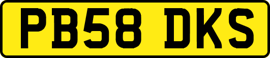 PB58DKS