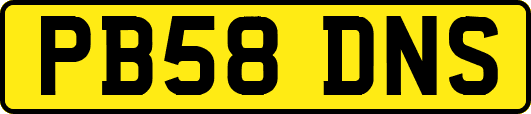 PB58DNS