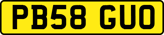 PB58GUO