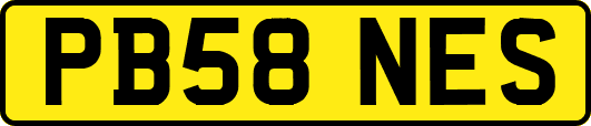 PB58NES