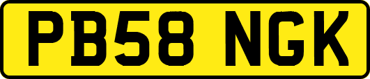 PB58NGK