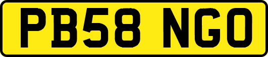 PB58NGO
