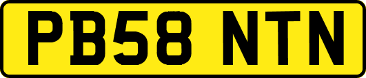 PB58NTN