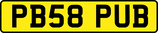 PB58PUB