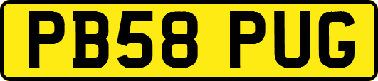 PB58PUG
