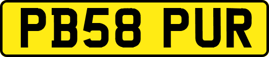 PB58PUR