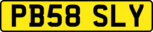 PB58SLY