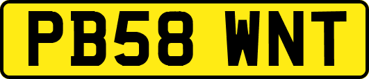 PB58WNT