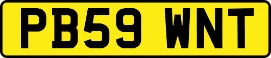 PB59WNT